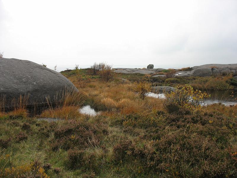 2008-10-14 076.JPG